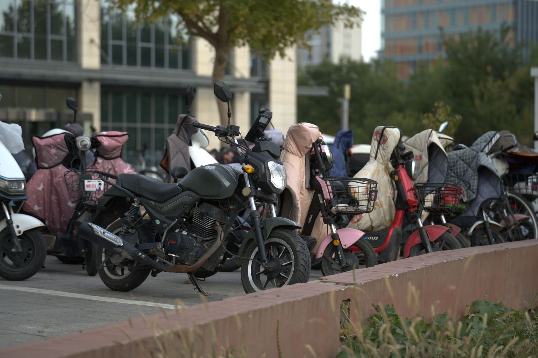 Rad med parkerade scootrar och motorcyklar i stadsmiljö — MC- och mopedkörkort.